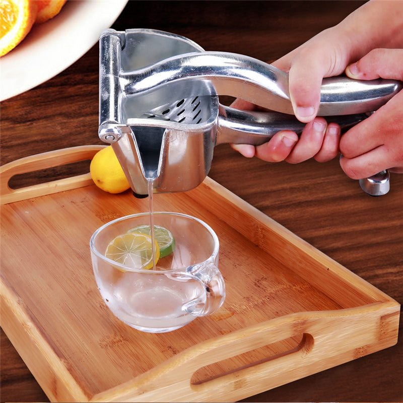 Techmanistan Stainless Steel Fruit Press, Stainless Steel Manual